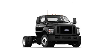 F-650 SD GAS PRO LOADER